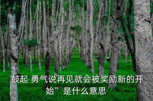 鼓起勇氣,勇氣不是無(wú)勇無(wú)謀而是需具備一定能力或知識(shí)