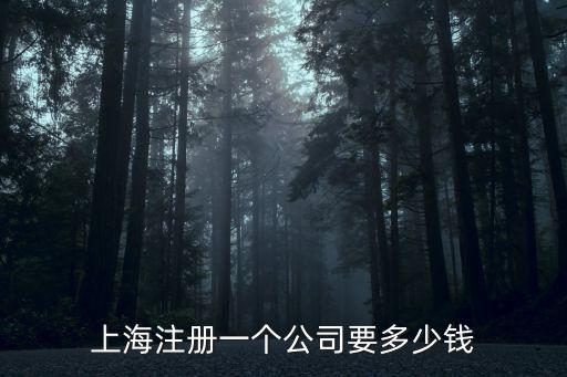 上海代辦注冊公司費用，上海市注冊代辦公司的費用是多少