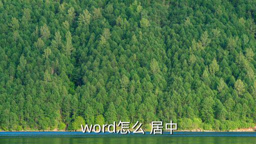  word怎么 居中