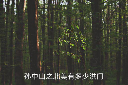 孫中山之北美有多少洪門
