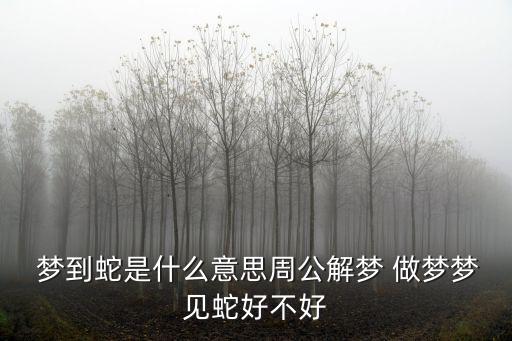  夢到蛇是什么意思周公解夢 做夢夢見蛇好不好
