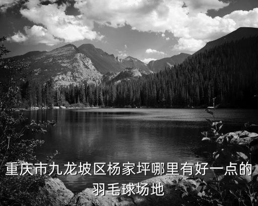 重慶市九龍坡區楊家坪哪里有好一點的羽毛球場地