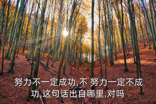  努力不一定成功,不 努力一定不成功,這句話出自哪里,對嗎