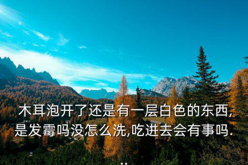 毛木耳,三大不同之處:首先要弄清楚!木耳是什么來(lái)頭