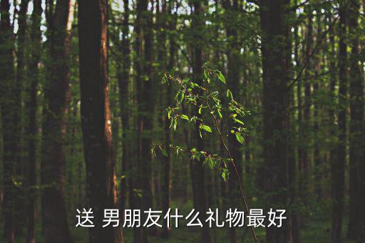 送 男朋友什么禮物最好