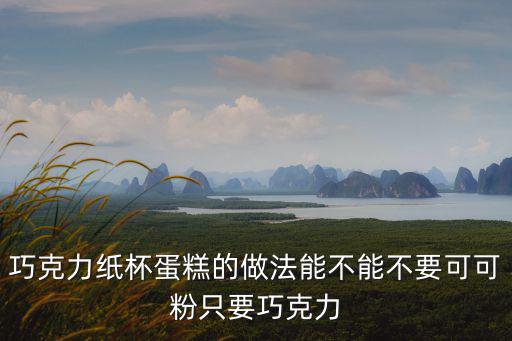 巧克力紙杯蛋糕的做法能不能不要可可粉只要巧克力
