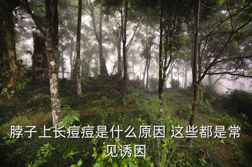 脖子上長痘痘是什么原因 這些都是常見誘因