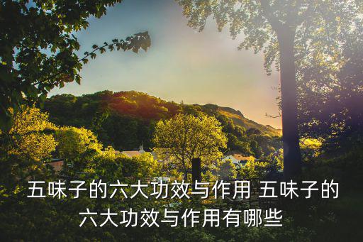 五味子功能,關于五味子你必須知道的事