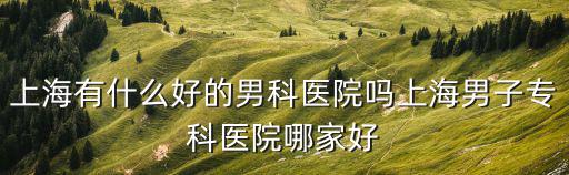 上海有什么好的男科醫院嗎上海男子?？漆t院哪家好