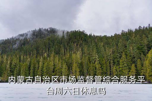  內(nèi)蒙古自治區(qū)市場(chǎng)監(jiān)督管綜合服務(wù)平臺(tái)周六日休息嗎
