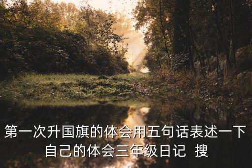 第一次升國旗的體會用五句話表述一下自己的體會三年級日記  搜