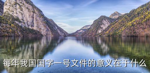 每年我國國字一號文件的意義在于什么