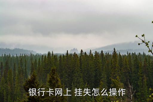  銀行卡網上 掛失怎么操作