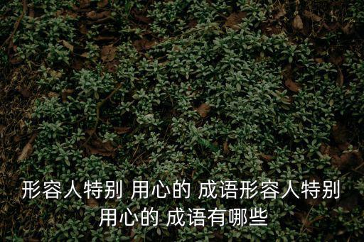 形容人特別 用心的 成語形容人特別 用心的 成語有哪些
