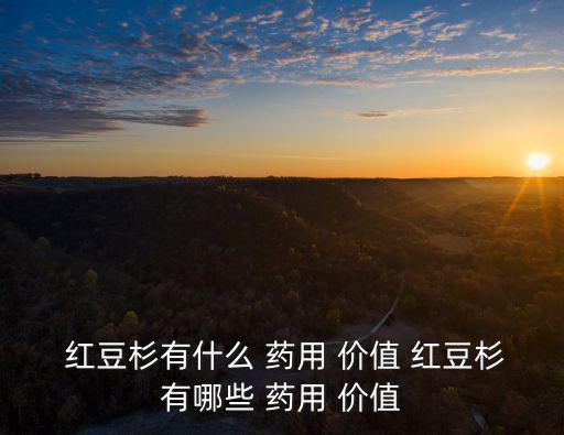  紅豆杉有什么 藥用 價(jià)值 紅豆杉有哪些 藥用 價(jià)值