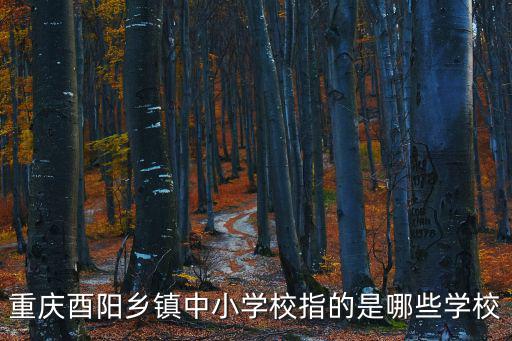 重慶酉陽鄉鎮中小學校指的是哪些學校