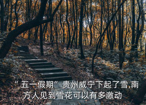 “ 五一假期”貴州威寧下起了雪,南方人見到雪花可以有多激動