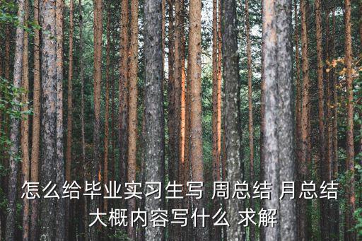 怎么給畢業實習生寫 周總結 月總結 大概內容寫什么 求解
