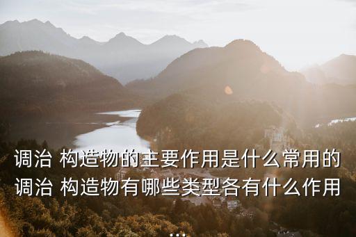 調治 構造物的主要作用是什么常用的調治 構造物有哪些類型各有什么作用...