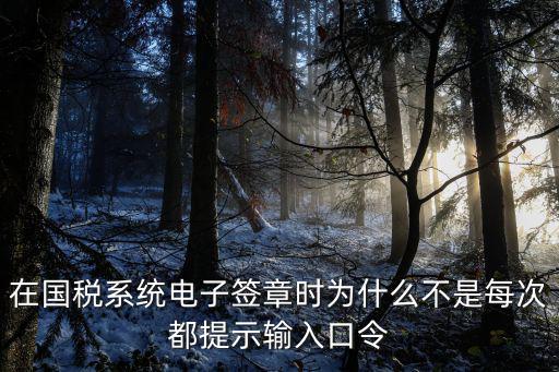 在國稅系統電子簽章時為什么不是每次都提示輸入口令