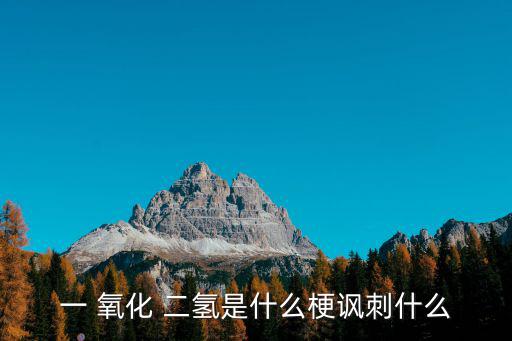 一 氧化 二氫是什么梗諷刺什么
