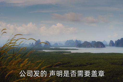 公司聲明,公司更名符合以下四大原因