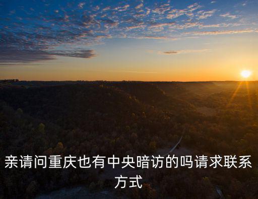 重慶市委幾個巡視組聯系方式，請問省委巡視組組長是什么級別