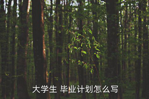  大學(xué)生 畢業(yè)計(jì)劃怎么寫