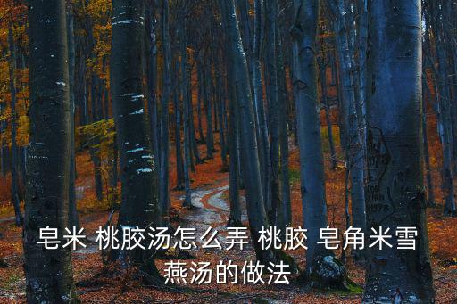 皂米 桃膠湯怎么弄 桃膠 皂角米雪燕湯的做法