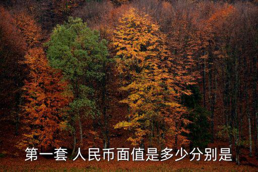 人民幣面額,中國(guó)央行推出第五套人民幣百元大鈔