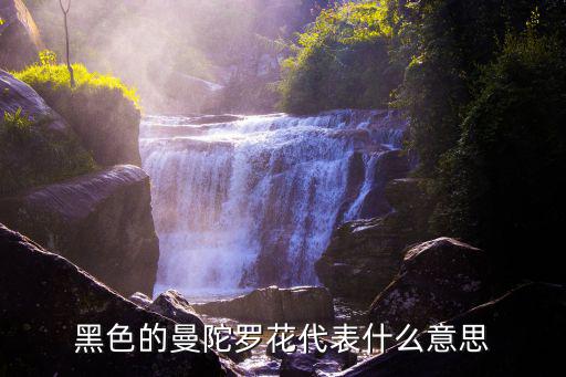 黑色曼陀羅花，黑色的曼陀羅花語是什么