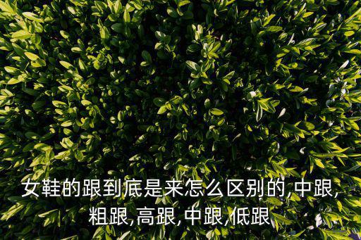 女鞋的跟到底是來怎么區別的,中跟,粗跟,高跟,中跟,低跟