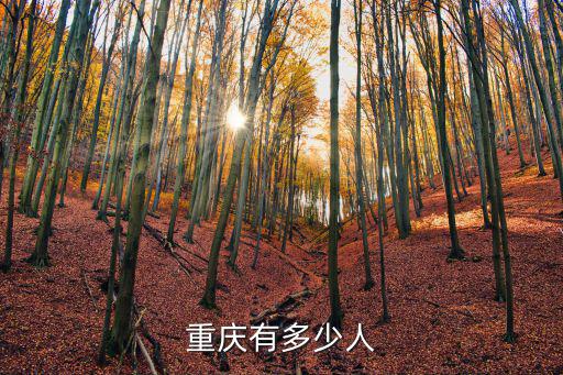重慶市立信qq多少人，重慶QQ每天平均活躍用戶數量