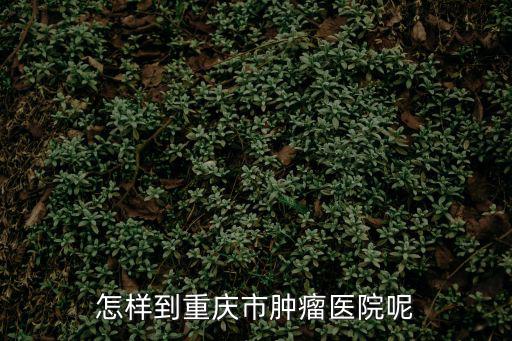 重慶市腫瘤醫院哪個區，怎樣到重慶市腫瘤醫院呢