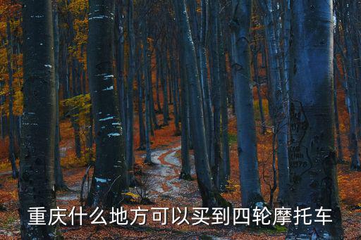 重慶什么地方可以買到四輪摩托車