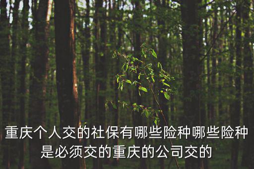 重慶個人交的社保有哪些險種哪些險種是必須交的重慶的公司交的