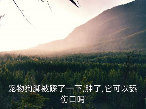 輕點(diǎn)舔,越舔越干是否是筋膜?答案:是的!