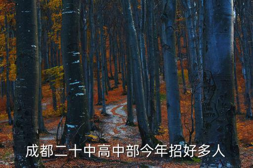 成都二十中高中部今年招好多人