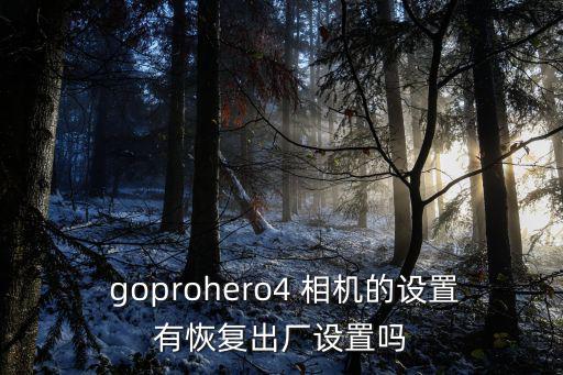 gopro相機,gopro是極限運動專用相機代名詞