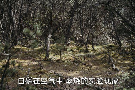 白磷燃燒現象,廢氣污染的五個可能性