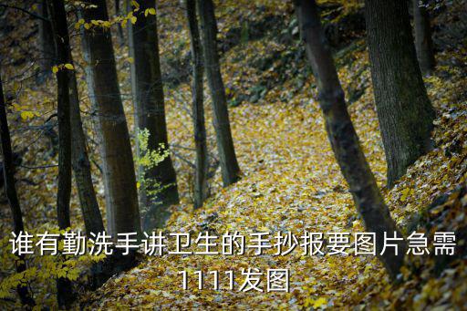 誰有勤洗手講衛(wèi)生的手抄報(bào)要圖片急需1111發(fā)圖