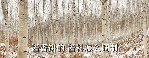 醬料,燒烤醬料自己在家做醬餅做法如何做?
