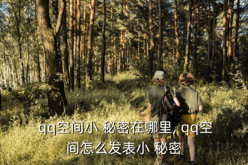  qq空間小 秘密在哪里, qq空間怎么發(fā)表小 秘密
