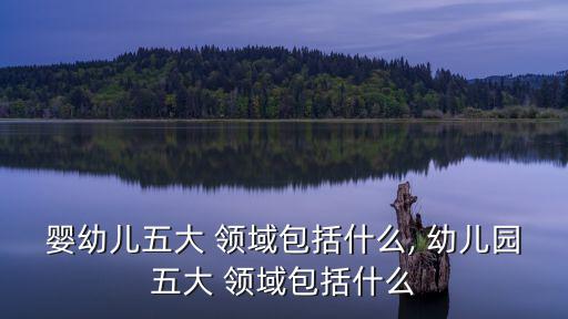 嬰幼兒五大 領(lǐng)域包括什么, 幼兒園五大 領(lǐng)域包括什么