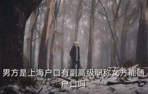 男方是上海戶口有副高級職稱女方能隨戶口嗎