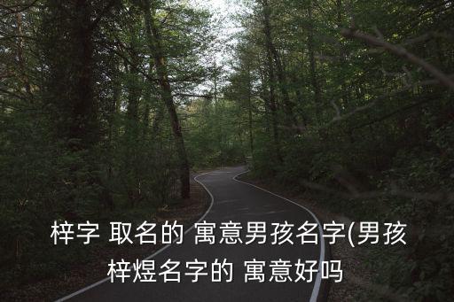  梓字 取名的 寓意男孩名字(男孩梓煜名字的 寓意好嗎