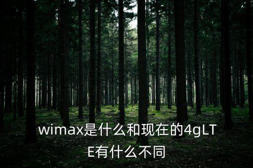 wimax,wimax和lte都是目前的準4g技術