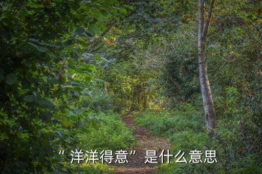 洋洋得意是什么意思,洋洋得意出處《史記·嚴(yán)觀列傳》第一集