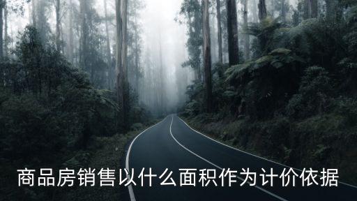 商品房銷售以什么面積作為計價依據