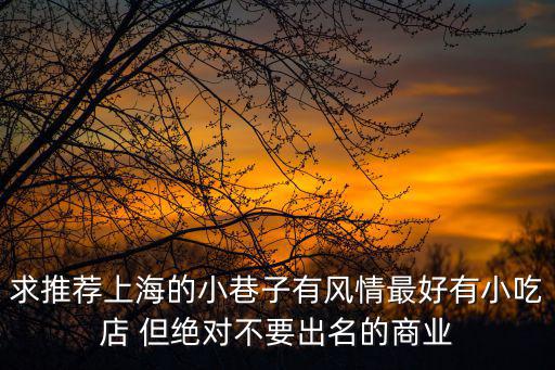 求推薦上海的小巷子有風(fēng)情最好有小吃店 但絕對不要出名的商業(yè)